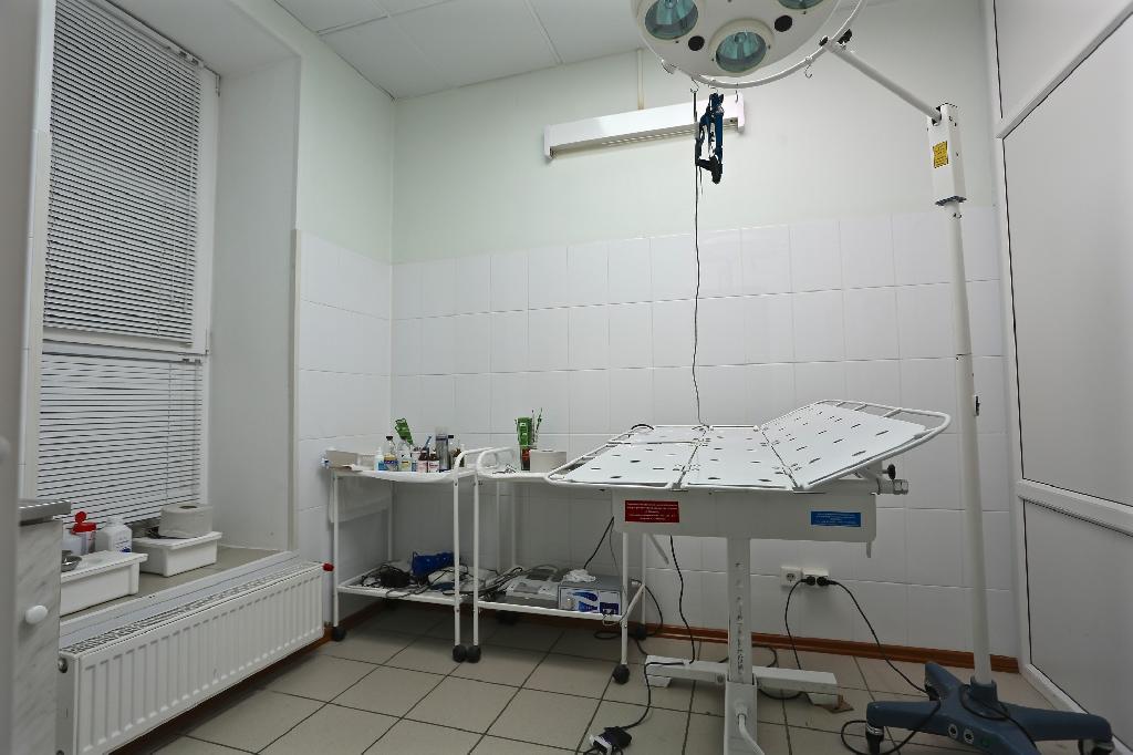 Ветеринарная клиника в Приморском р-не